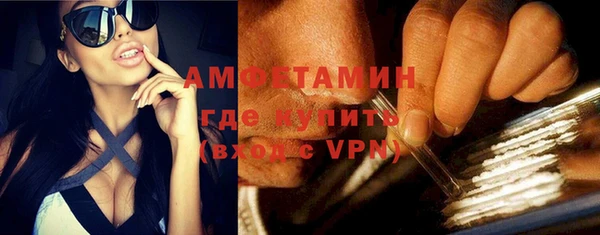 сатива Арсеньев