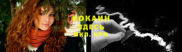 спайс Аркадак