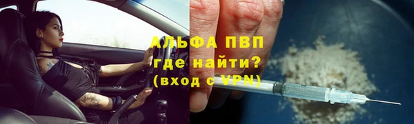 сатива Арсеньев