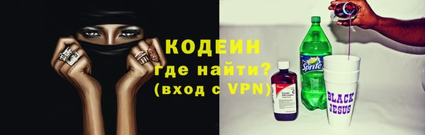 сатива Арсеньев