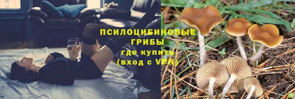 сатива Арсеньев