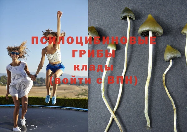 спайс Аркадак