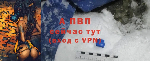 шишки Протвино
