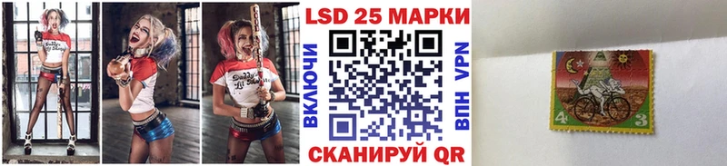 закладки Отрадная Марки N-bome 1,5мг