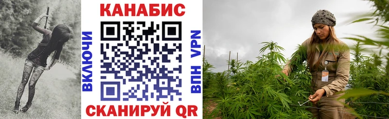 Канабис VHQ  Отрадная 